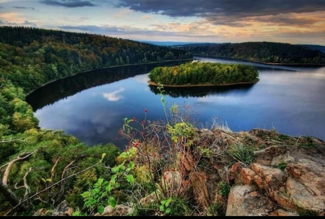Luxusní Chata Sečanda v Železných horách u Sečské Přehrady Exteriér fotografie