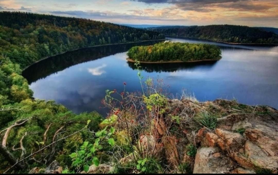 Luxusní Chata Sečanda v Železných horách u Sečské Přehrady Exteriér fotografie