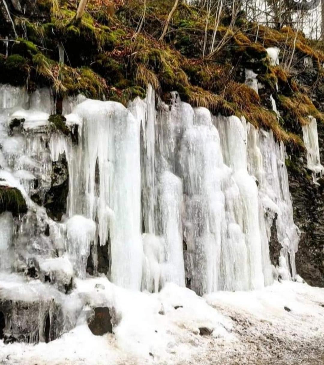 Luxusní Chata Sečanda v Železných horách u Sečské Přehrady Exteriér fotografie